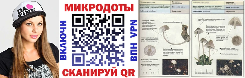 Псилоцибиновые грибы мухоморы  даркнет сайт  Кизляр 